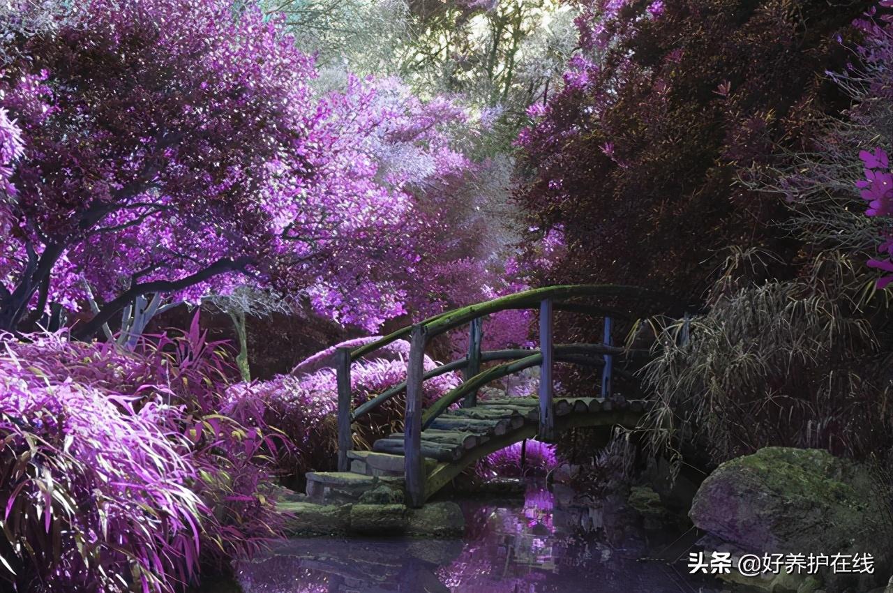 桥,生活中最美的风景,说不尽的故事,道不完的情怀(图1) 桥,生活中最美的风景,说不尽的故事,道不完的情怀(图1)