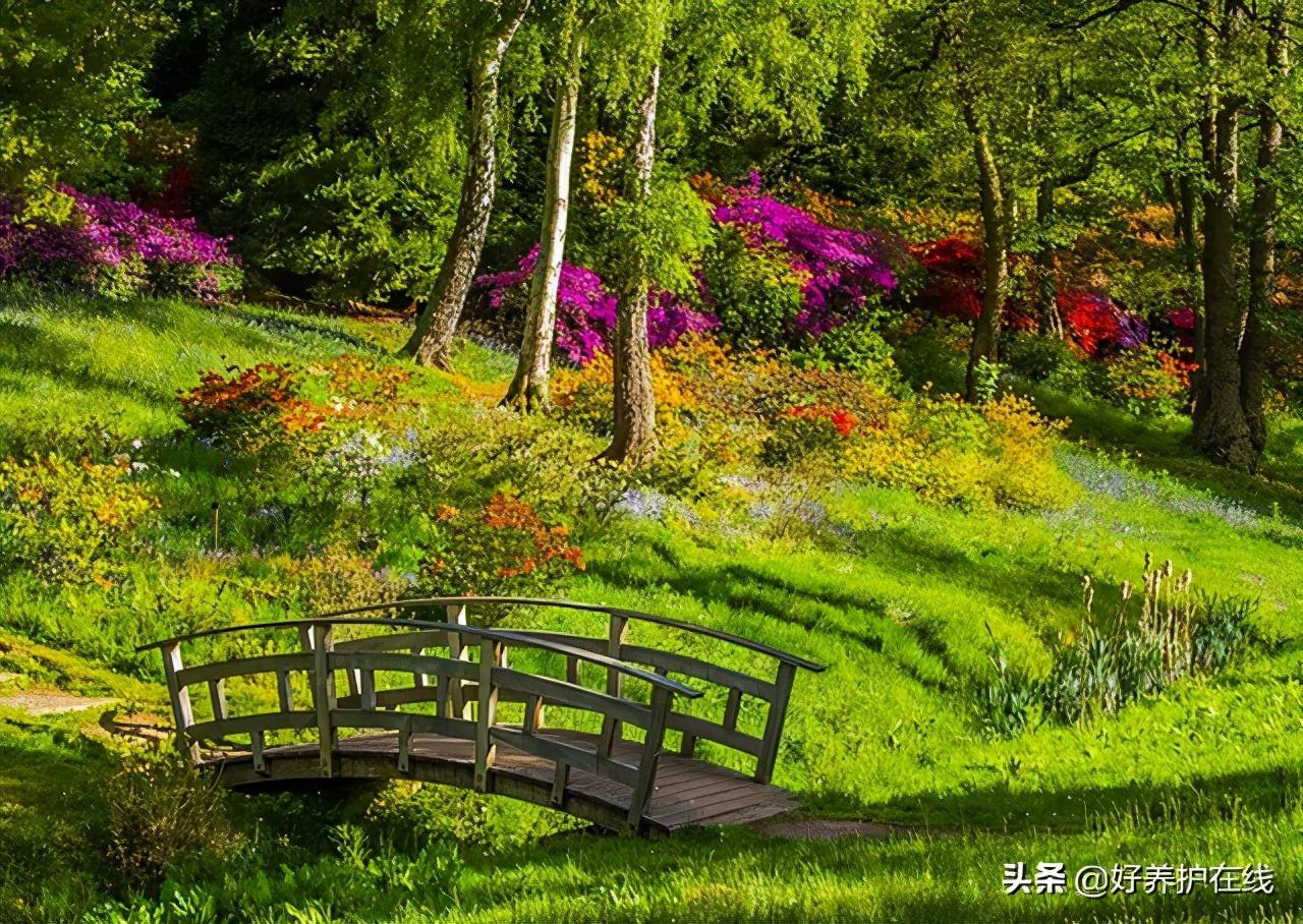 桥,生活中最美的风景,说不尽的故事,道不完的情怀(图3) 桥,生活中最美的风景,说不尽的故事,道不完的情怀(图3)