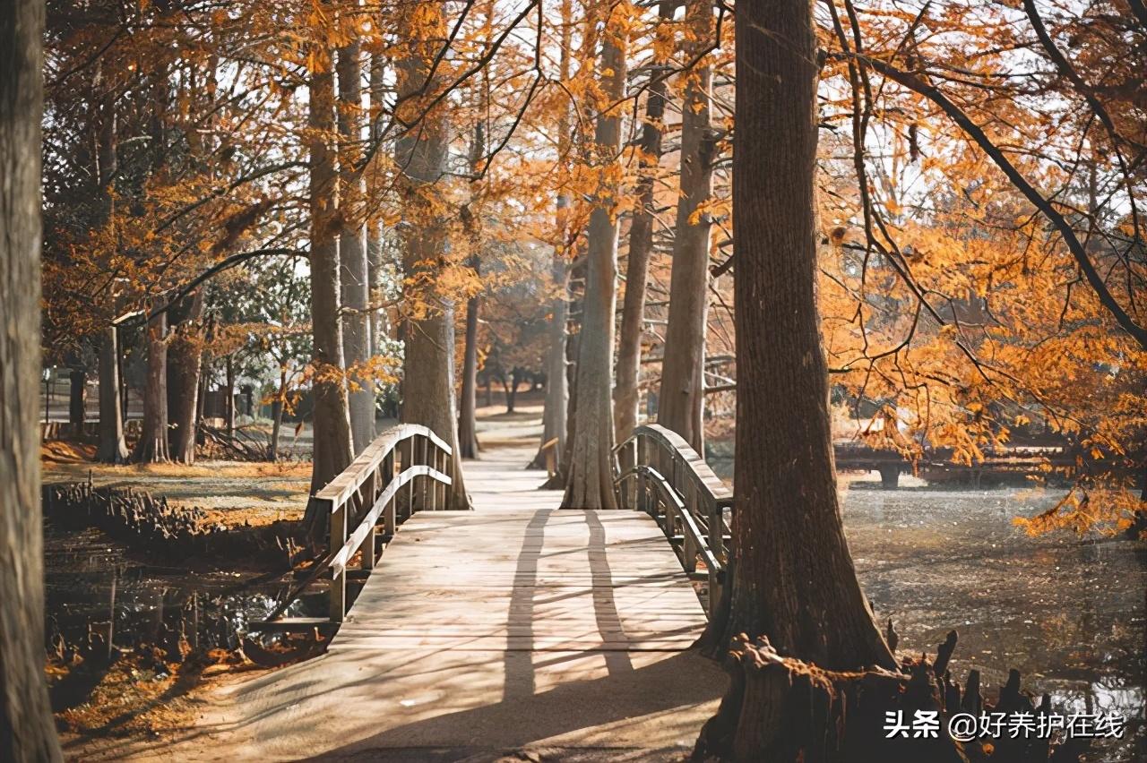 桥,生活中最美的风景,说不尽的故事,道不完的情怀(图4) 桥,生活中最美的风景,说不尽的故事,道不完的情怀(图4)