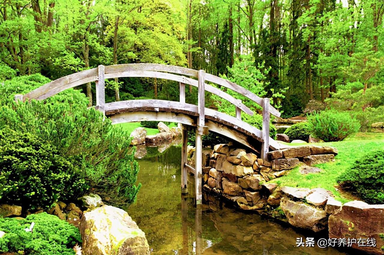 桥，生活中最美的风景，说不尽的故事，道不完的情怀(图7)