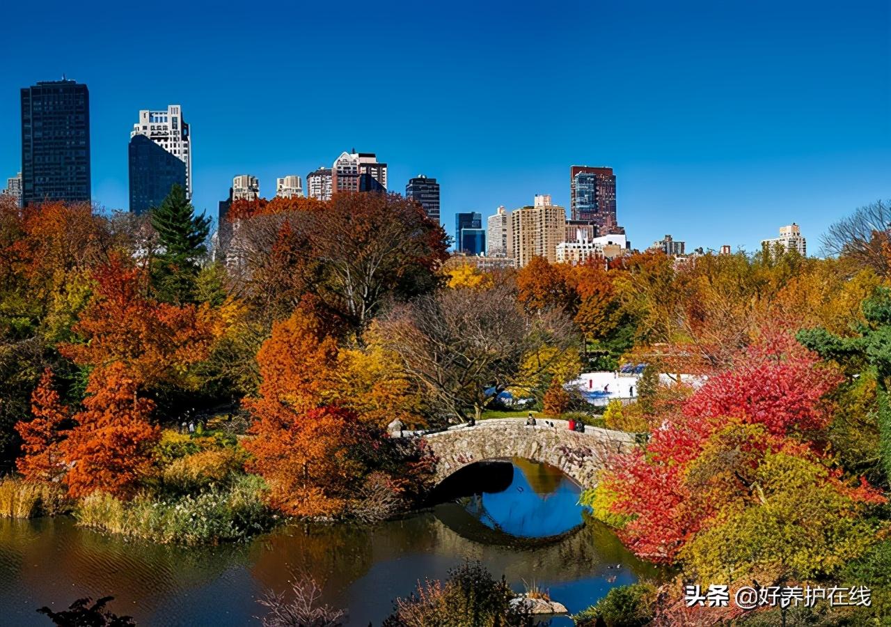 桥，生活中最美的风景，说不尽的故事，道不完的情怀(图10)