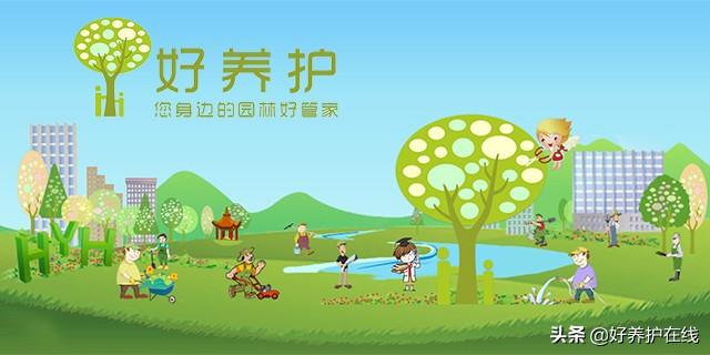 桥，生活中最美的风景，说不尽的故事，道不完的情怀(图11)