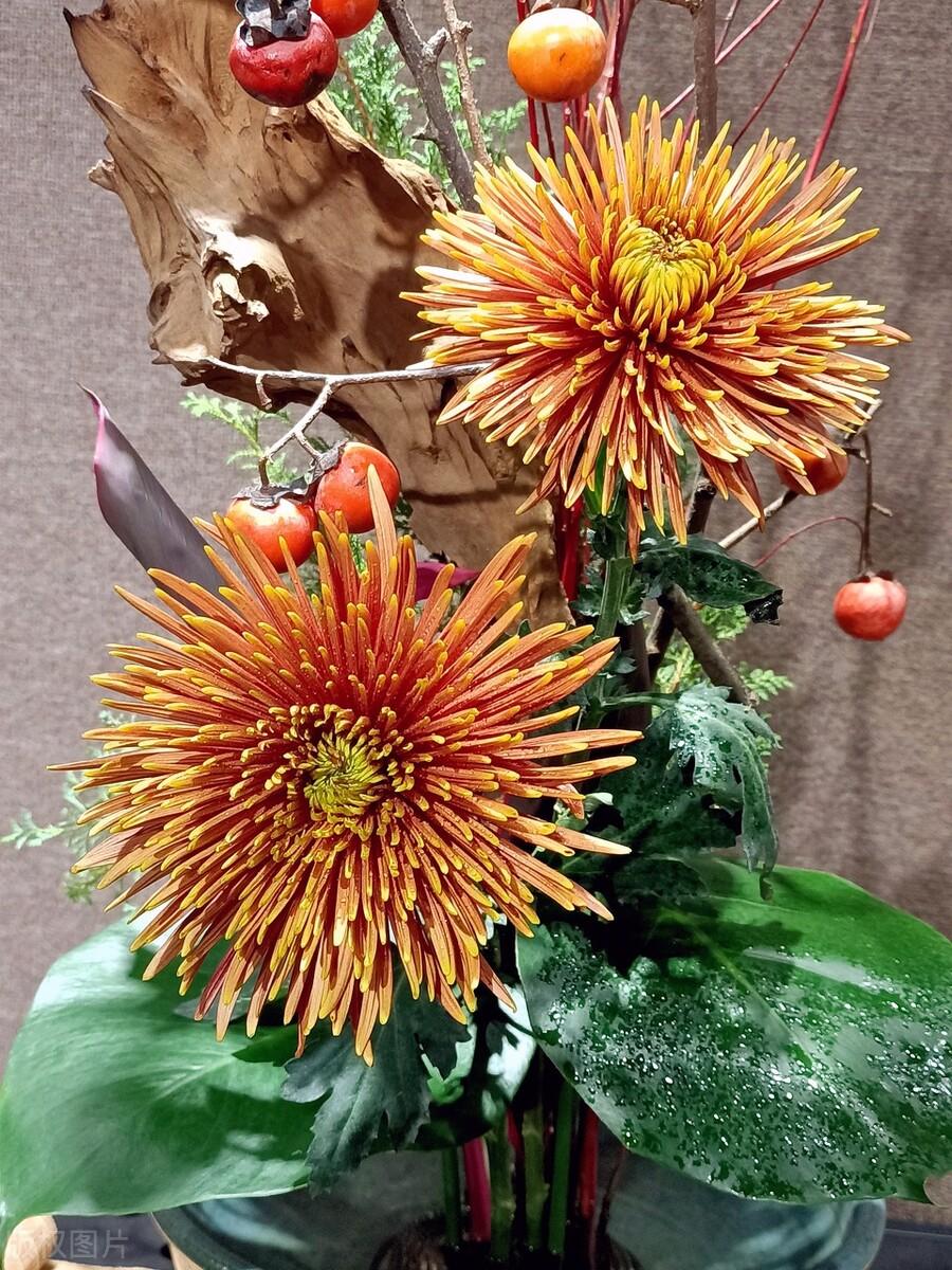 2022再见，岁月无声，来日方长，脚下有方向，未来有希望(图5)