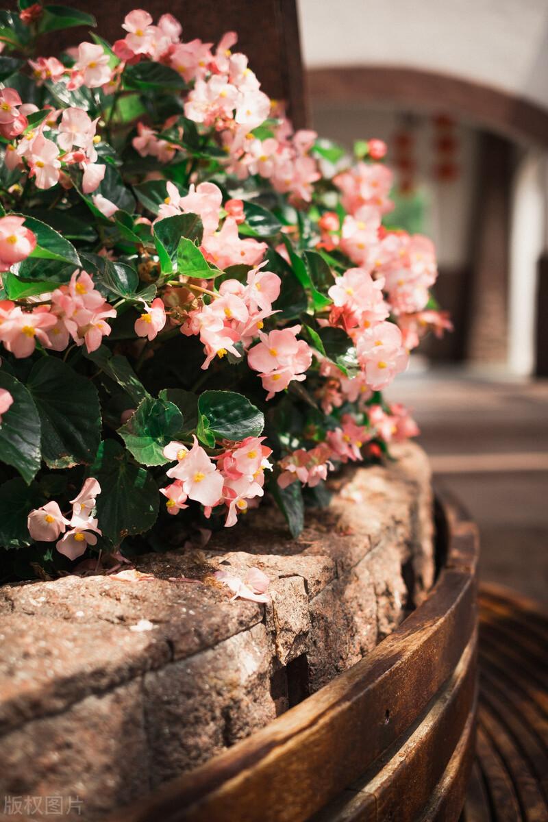 2022再见，岁月无声，来日方长，脚下有方向，未来有希望(图7)