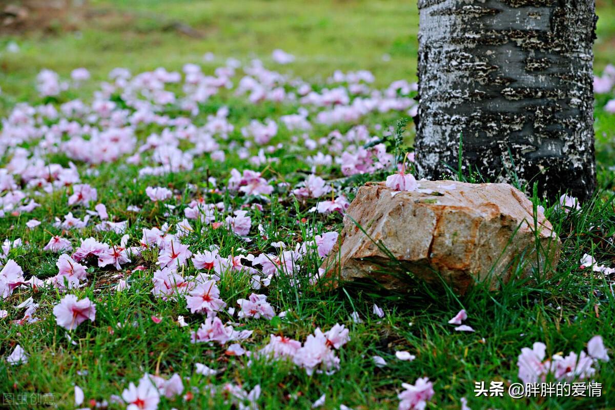 以清净心看世界，欢喜心过生活，以平常心生情味，柔软心除挂碍(图2)