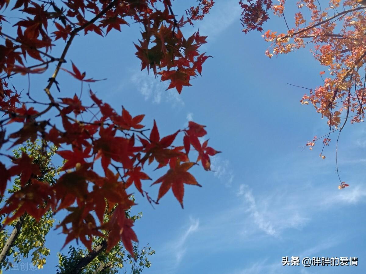 以清净心看世界，欢喜心过生活，以平常心生情味，柔软心除挂碍(图3)