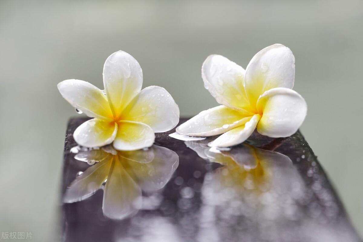 朋友圈文案100句【四】下雨天(图1)