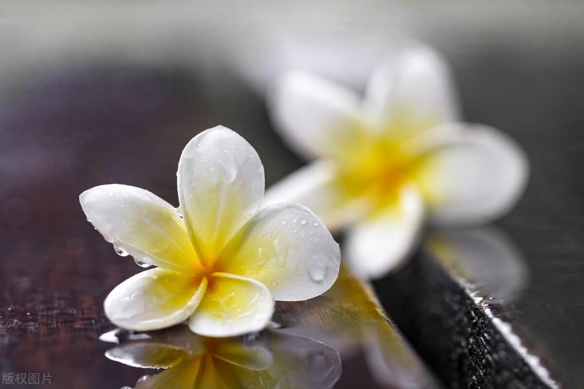 朋友圈文案100句【四】下雨天(图4)