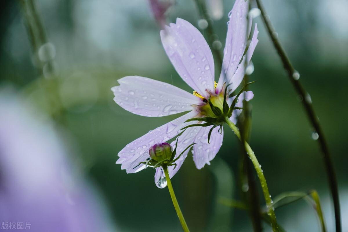 朋友圈文案100句【四】下雨天(图7)