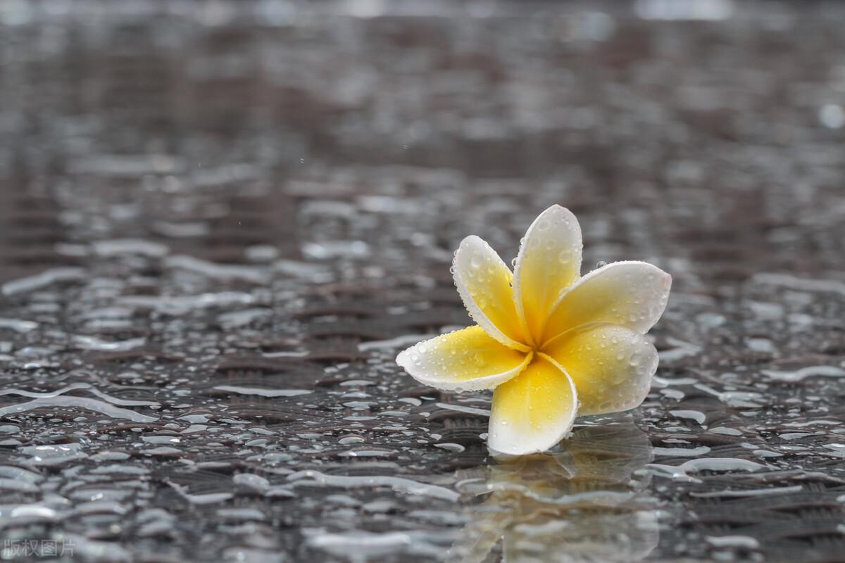 朋友圈文案100句【四】下雨天(图8)