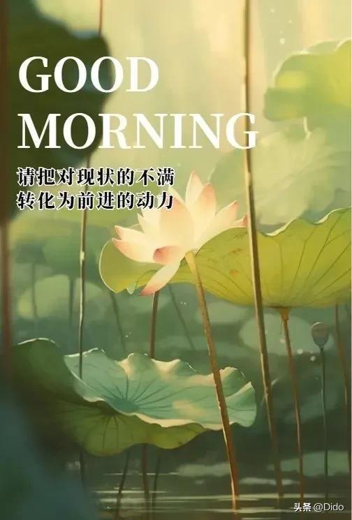 适合每天问候的句子，保持童心，健康重要！早上吉祥！(图6)