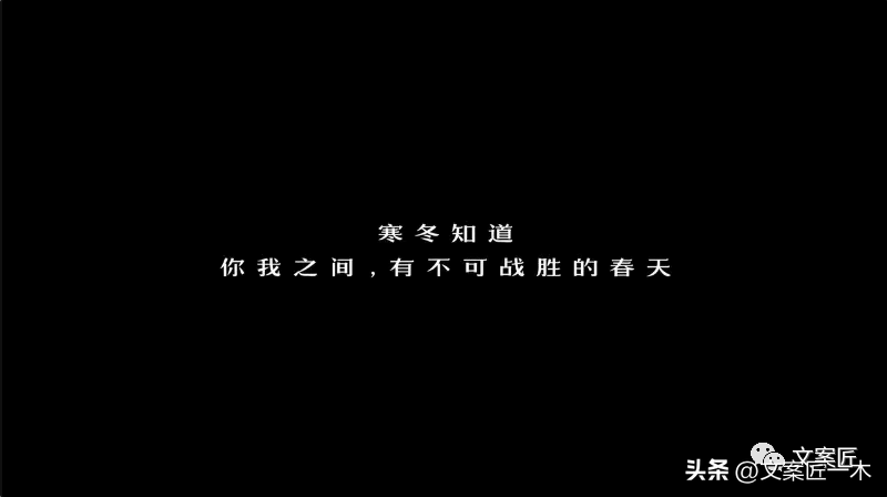 2022年，值得收藏的100句广告文案！(图7)