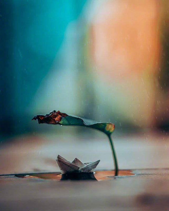 关于老师默默无闻奉献的名言，句句精挑细选！(图1)