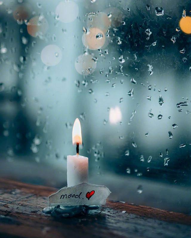 关于老师默默无闻奉献的名言，句句精挑细选！(图3)