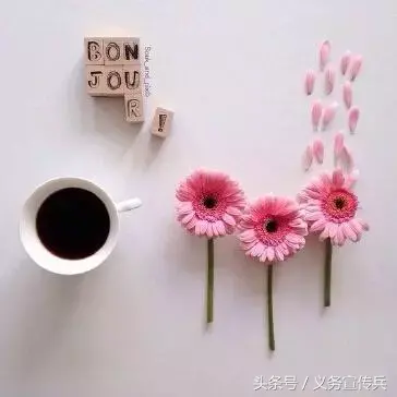 优雅文静的个性签名，简约纯净，韵味十足！(图1)