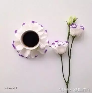 优雅文静的个性签名，简约纯净，韵味十足！(图5)