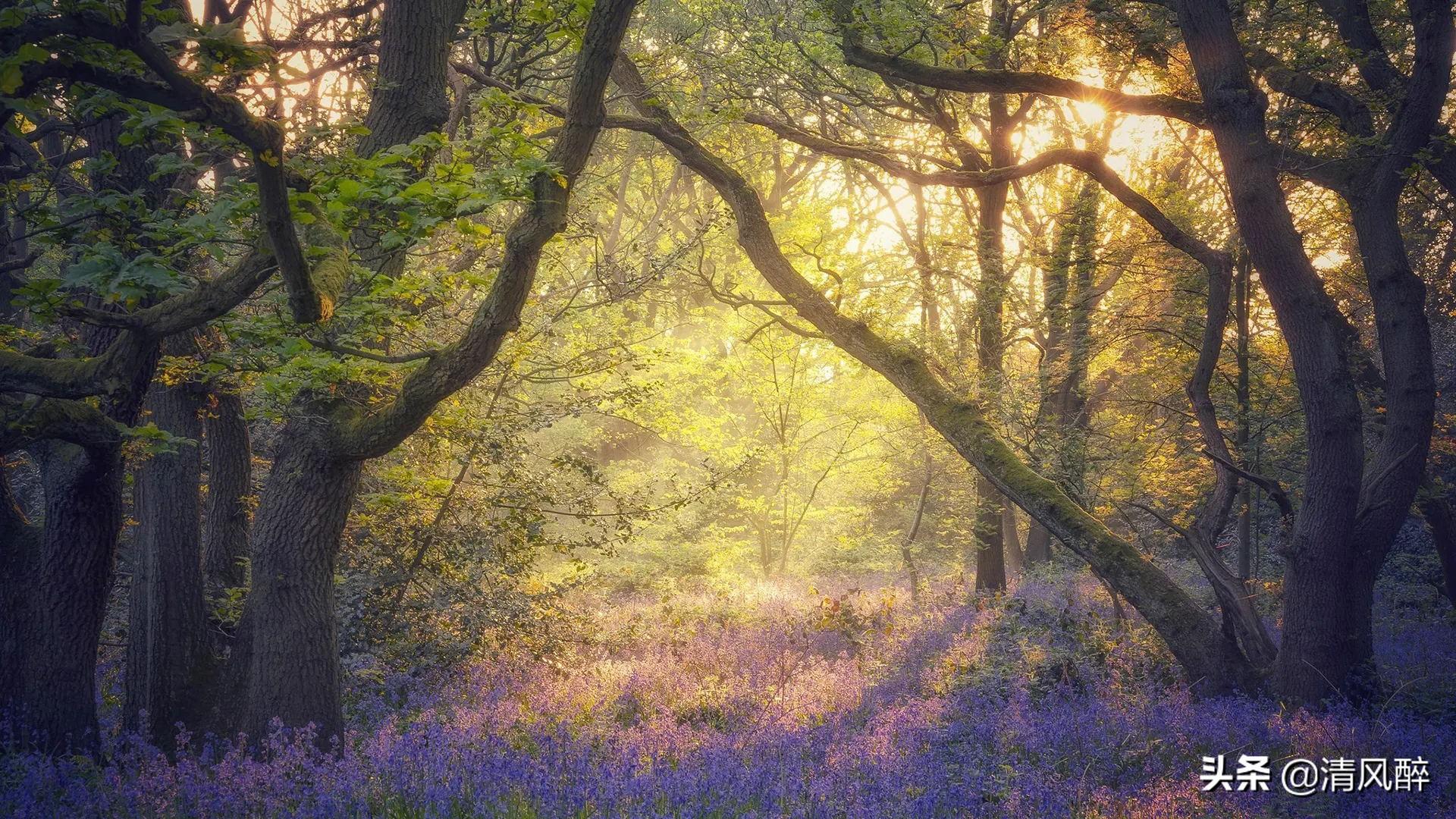 适合发朋友圈心灰意冷的短句(图3)