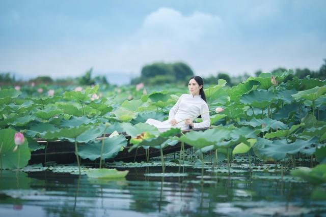 碧水荷花映夕阳 香风拂面满池塘 芳心自得清闲地 一片花香入梦乡(图2)