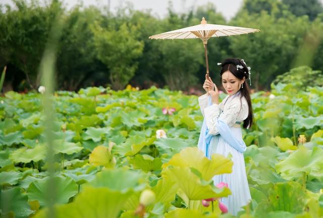 碧水荷花映夕阳 香风拂面满池塘 芳心自得清闲地 一片花香入梦乡(图4)