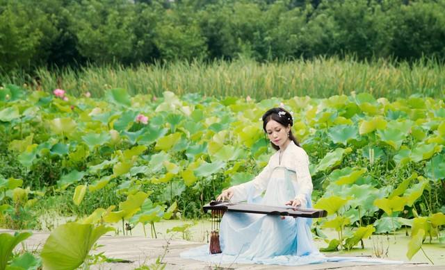 碧水荷花映夕阳 香风拂面满池塘 芳心自得清闲地 一片花香入梦乡(图6)