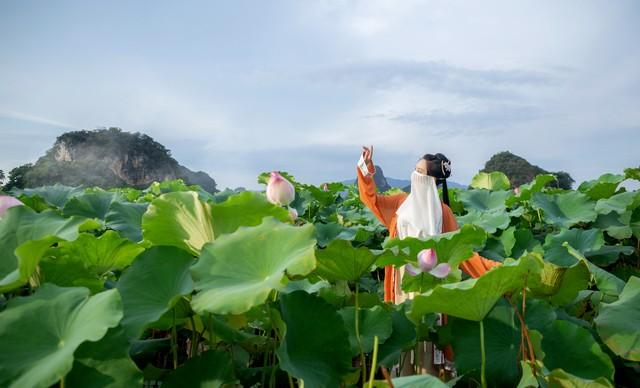 碧水荷花映夕阳 香风拂面满池塘 芳心自得清闲地 一片花香入梦乡(图9)