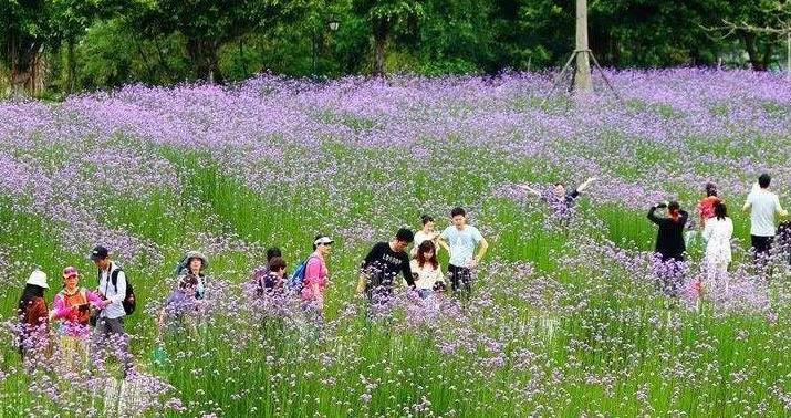 一个家庭最好的教养：严于律己，宽以待人(图1)