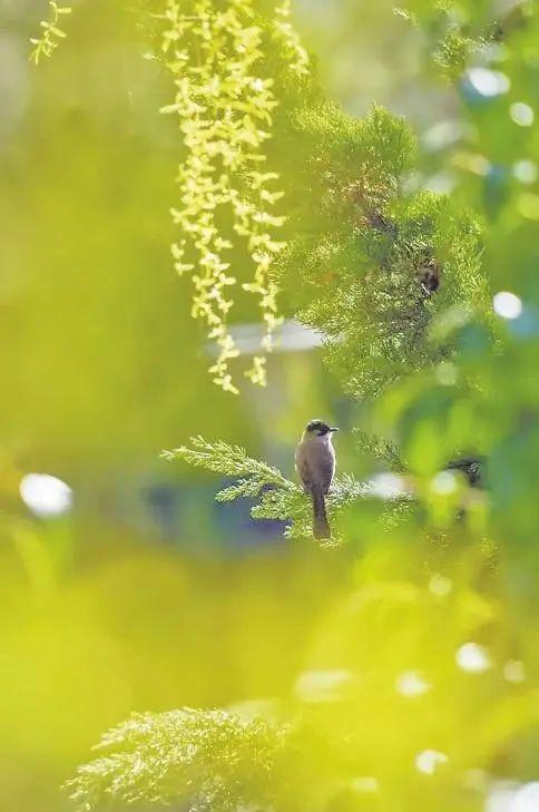 20句名言，带你的灵魂，寻找生命的春光(图2)