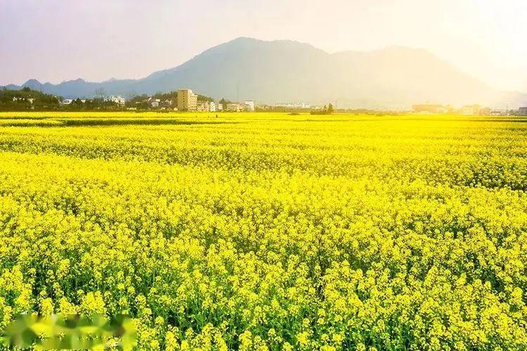 20句名言，带你的灵魂，寻找生命的春光(图4)