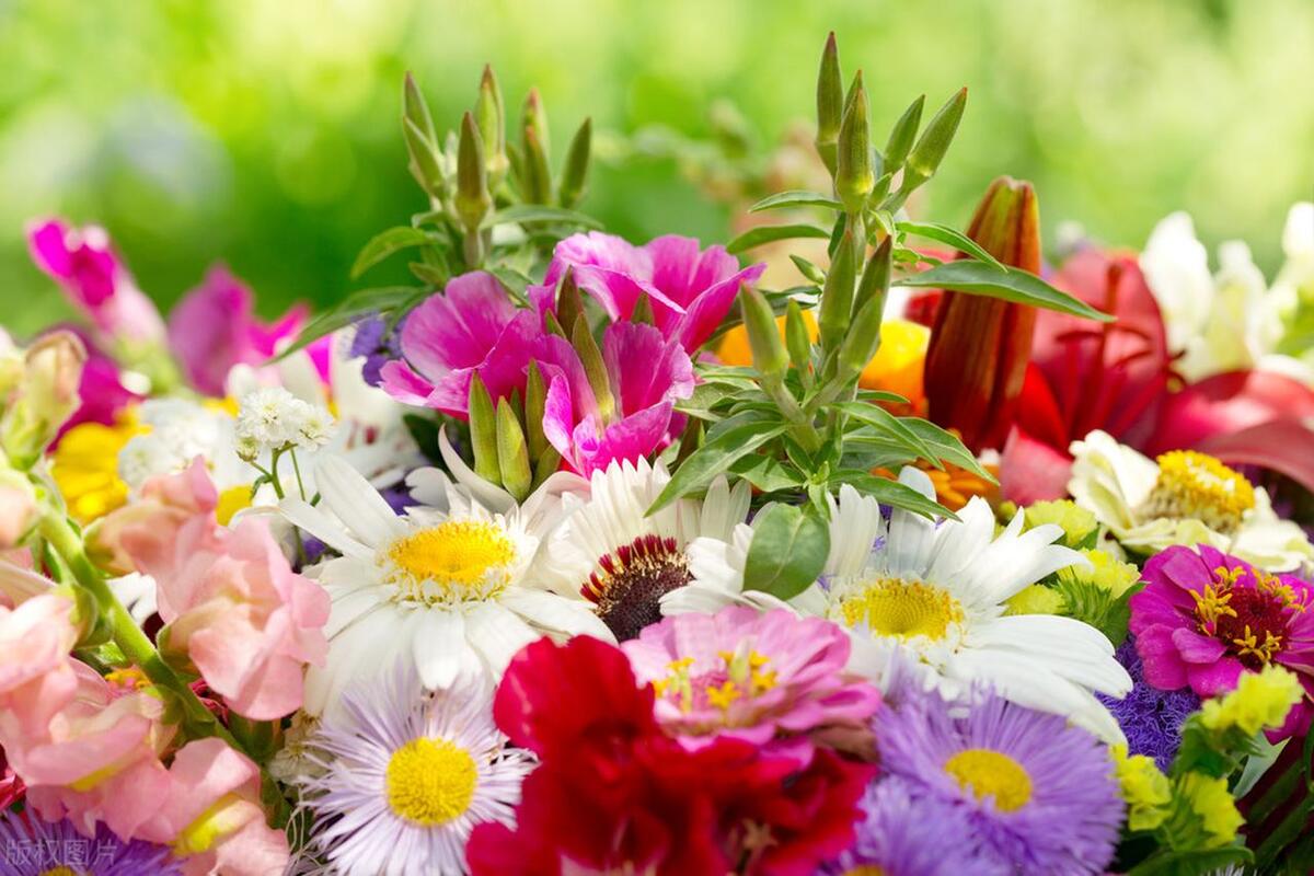 热爱生活、爱自己的励志文案：让一路花香满径，让日子安暖自若(图2)