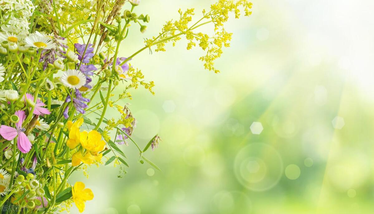 热爱生活、爱自己的励志文案：让一路花香满径，让日子安暖自若(图4)