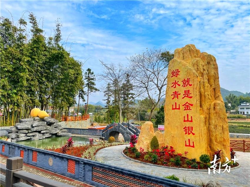 一方青绿，一城诗画！绿美阳山，处处好风光(图4)