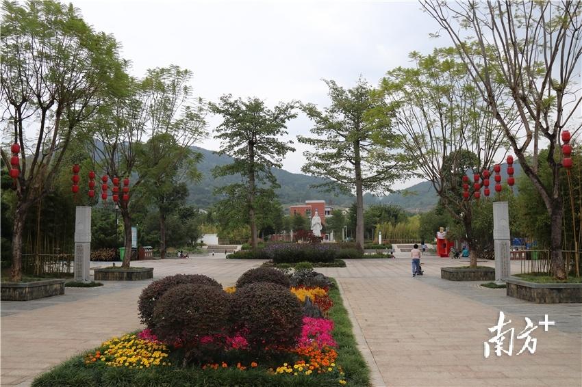 一方青绿，一城诗画！绿美阳山，处处好风光(图6)