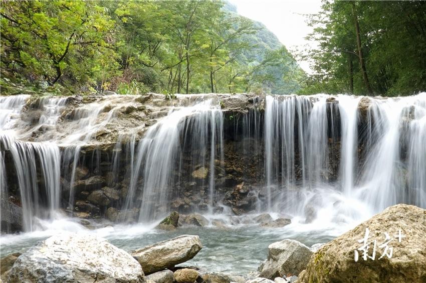 一方青绿，一城诗画！绿美阳山，处处好风光(图9)