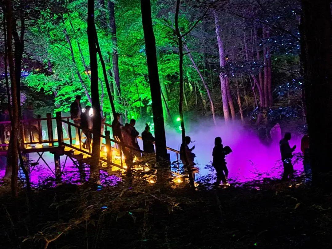 当森林与星空为伴，来和夏夜共鸣！(图11)