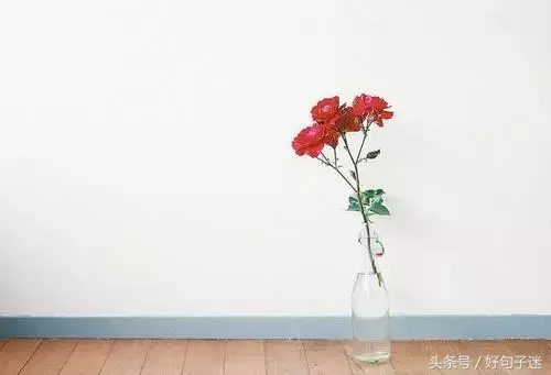 总有一天你会重新翻阅的励志句子，句句让人感悟颇深！(图1)