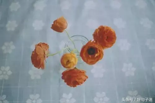 总有一天你会重新翻阅的励志句子，句句让人感悟颇深！(图4)