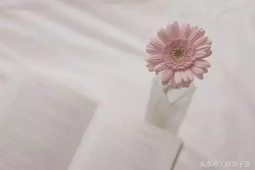 总有一天你会重新翻阅的励志句子，句句让人感悟颇深！(图5)