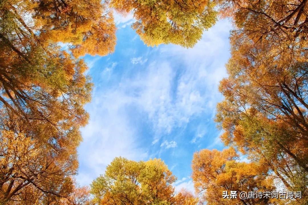 初秋，夏未远，凉意已生(图1)