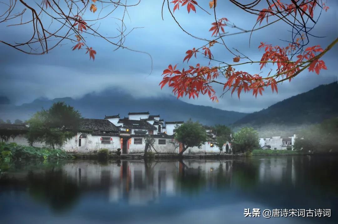 初秋，夏未远，凉意已生(图5)