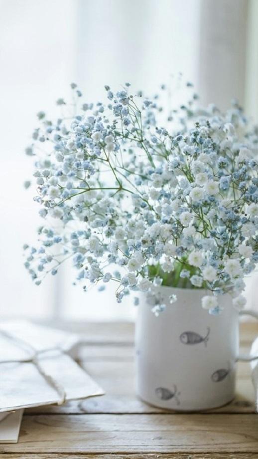 人到中年，不想在秋天老去(图1)