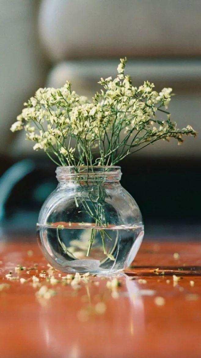 人到中年，不想在秋天老去(图3)