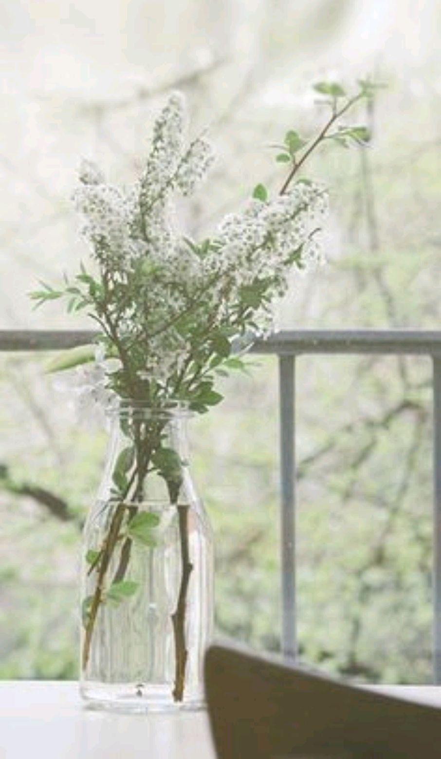 人到中年，不想在秋天老去(图4)