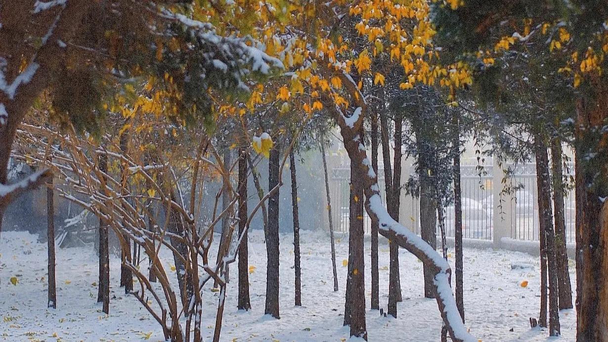 文案‖关于立冬的唯美朋友圈文案(图2)