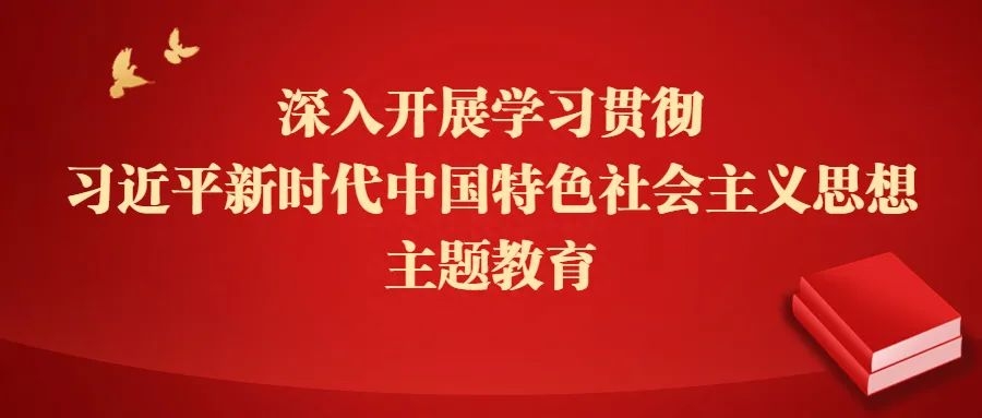 津南法院党员干警政治生日感言展示（三）(图1)