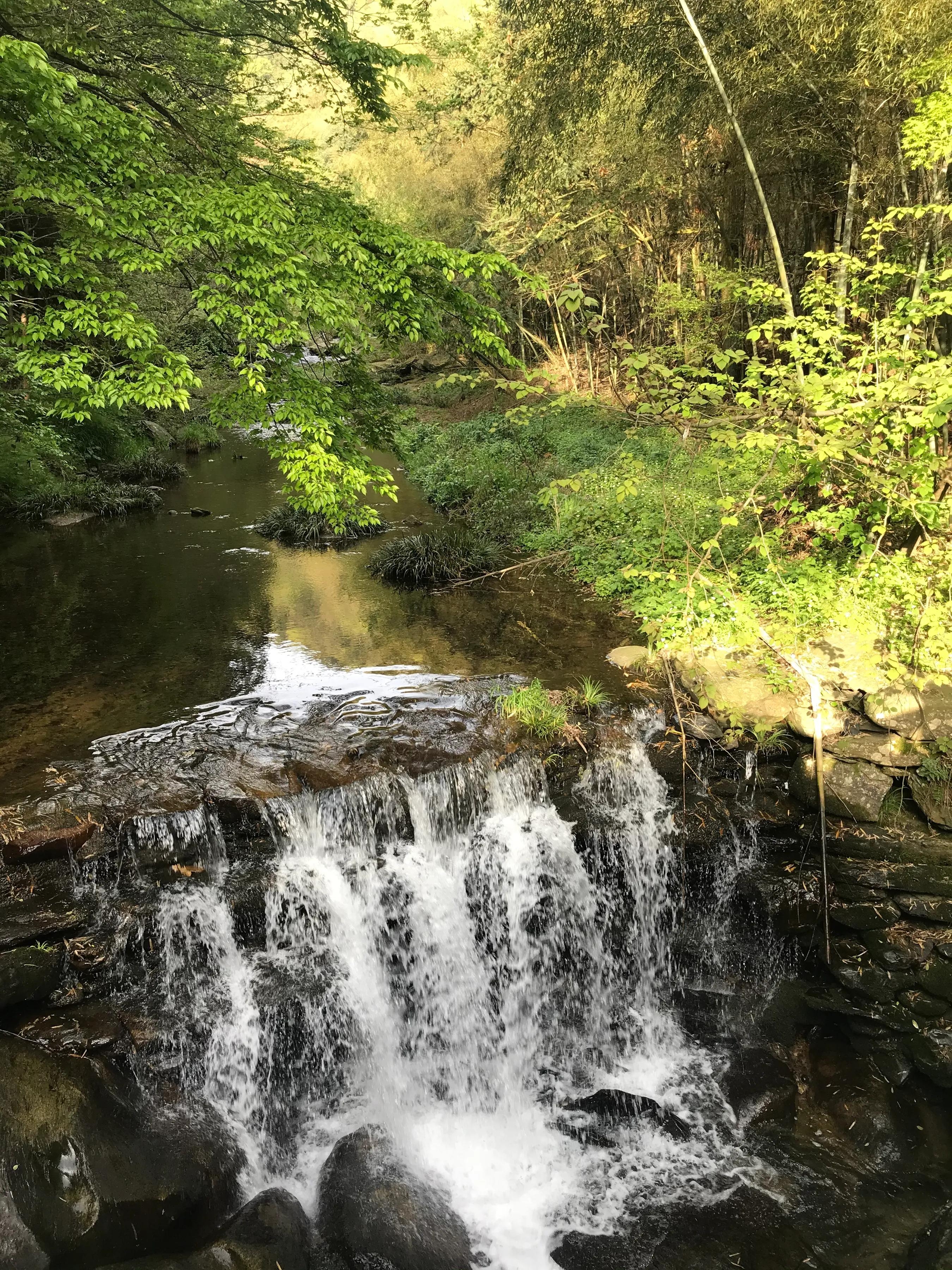 好文推荐，词藻华美无比，实用性超强，读山阴金《格言联璧》有感(图1)