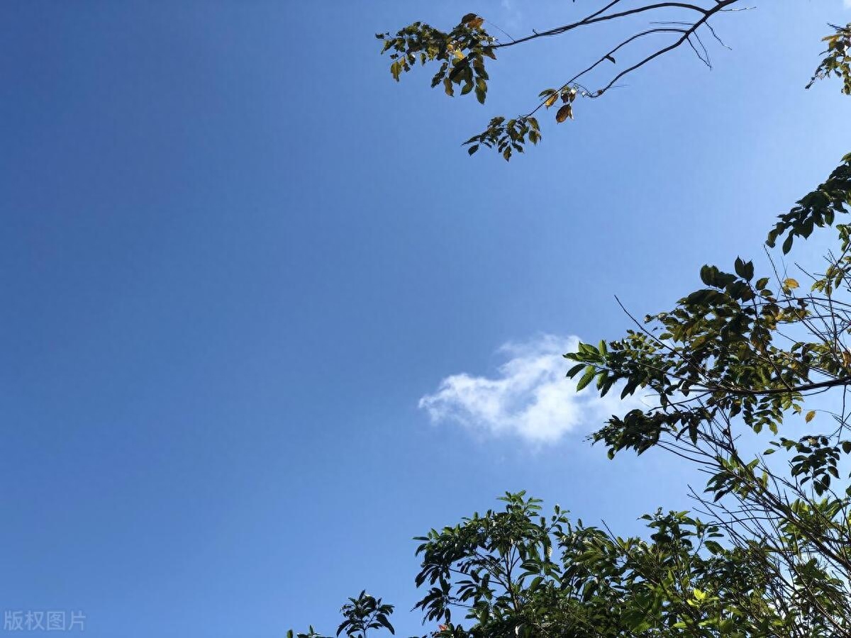 励志名言短句霸气（干净简短的励志句子）(图3)