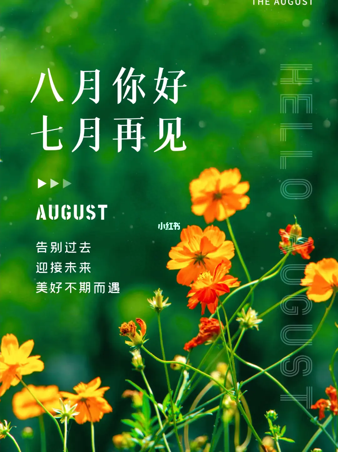 15句7月再见，8月你好的文案，超级治愈（带海报喜欢自取）(图4)
