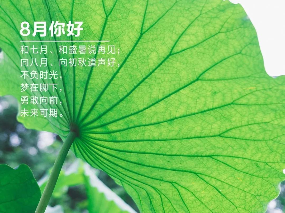 八月朋友圈的朋友圈文案应该这样发，七月再见，八月你好。(图1)