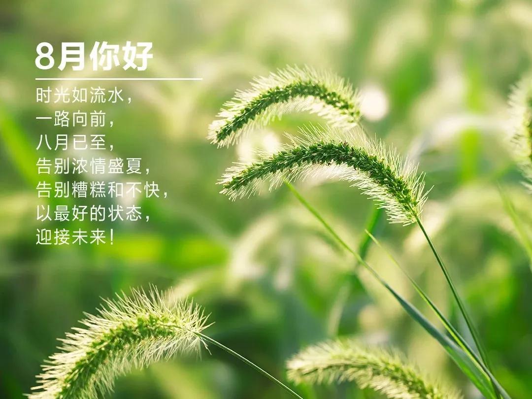 八月朋友圈的朋友圈文案应该这样发，七月再见，八月你好。(图2)