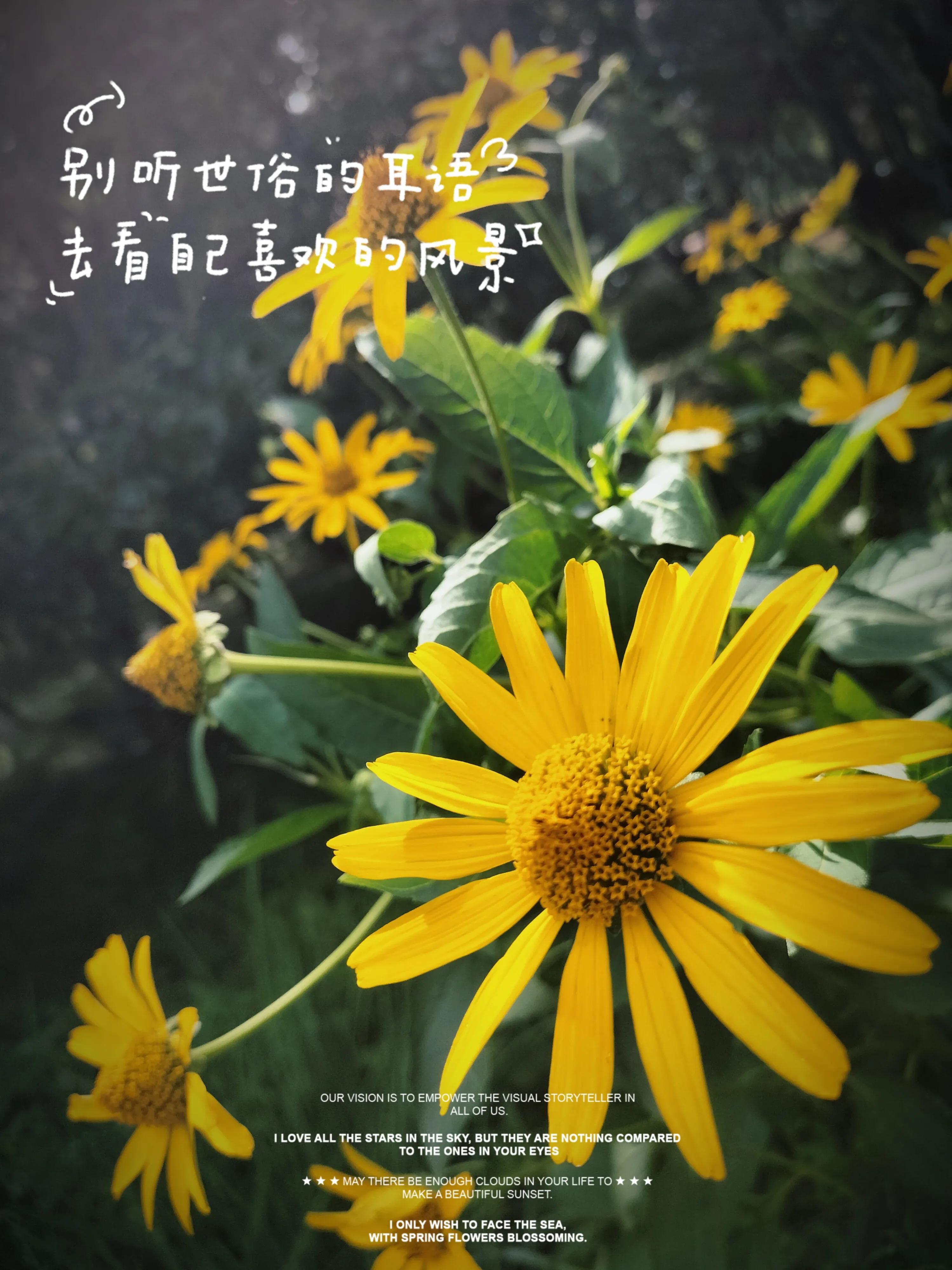 八月朋友圈的朋友圈文案应该这样发，七月再见，八月你好。(图5)